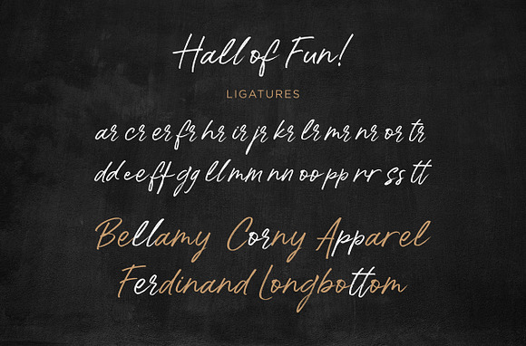 Hall Of Fun - Casual Elegant Font in Script Fonts - product preview 9