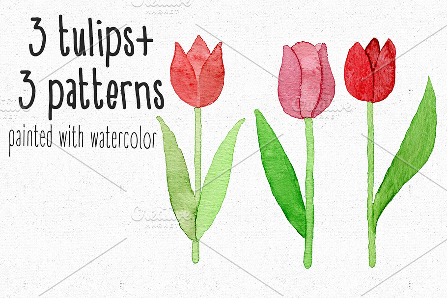 3 Watercolor tulips in Illustrations - product preview 8
