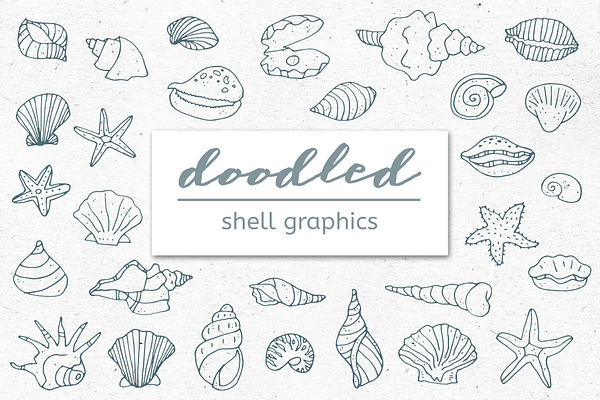 Doodled Shell and Starfish Graphics