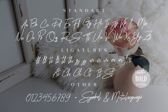Rhesmanisa Signature Font in Script Fonts - product preview 10
