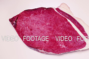 Time-laps frozen piece of meat