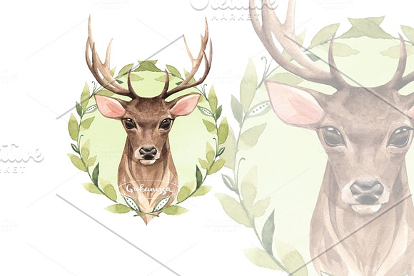 Noble deer in Illustrations - product preview 1