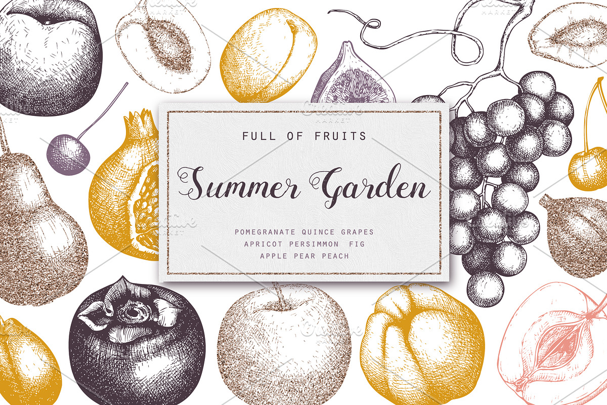 Summer Fruits Sketch Collection in Illustrations - product preview 8