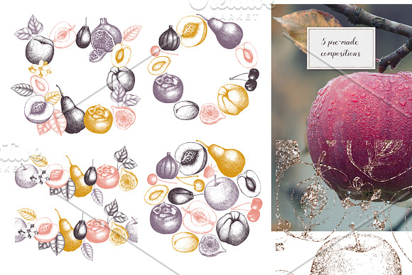 Summer Fruits Sketch Collection in Illustrations - product preview 5