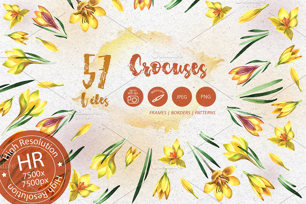 Yellow crocuses PNG watercolor set in Illustrations - product preview 8