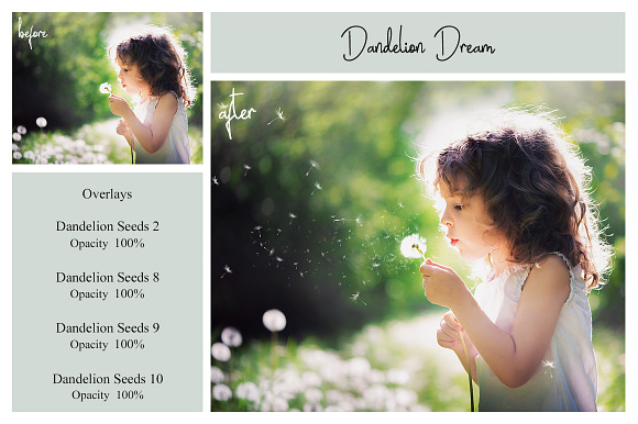20 Dandelion Seeds PNG Overlays in Add-Ons - product preview 2