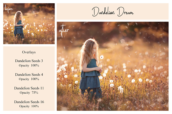 20 Dandelion Seeds PNG Overlays in Add-Ons - product preview 4