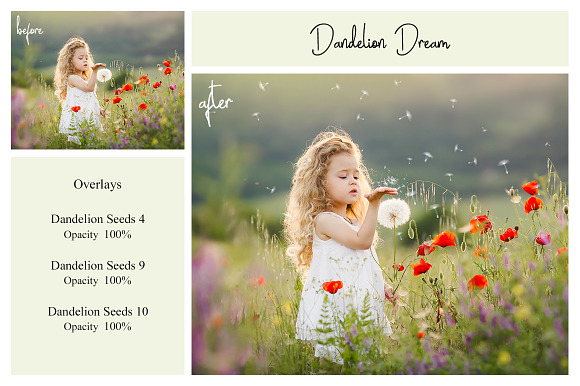 20 Dandelion Seeds PNG Overlays in Add-Ons - product preview 6