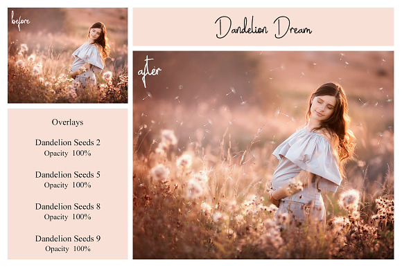 20 Dandelion Seeds PNG Overlays in Add-Ons - product preview 7