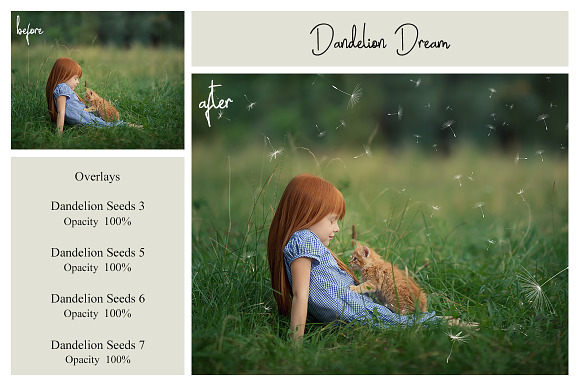 20 Dandelion Seeds PNG Overlays in Add-Ons - product preview 8