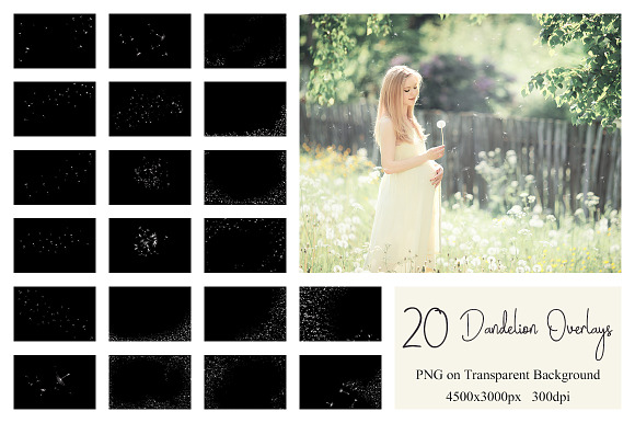 20 Dandelion Seeds PNG Overlays in Add-Ons - product preview 9