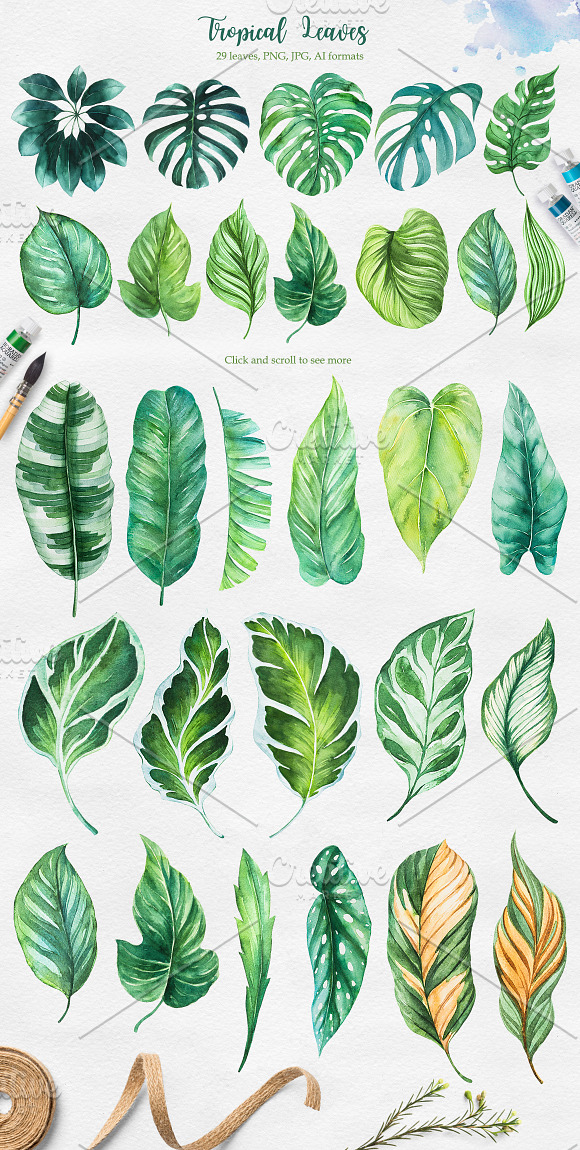 Tropical. Watercolor illustrations. in Illustrations - product preview 2