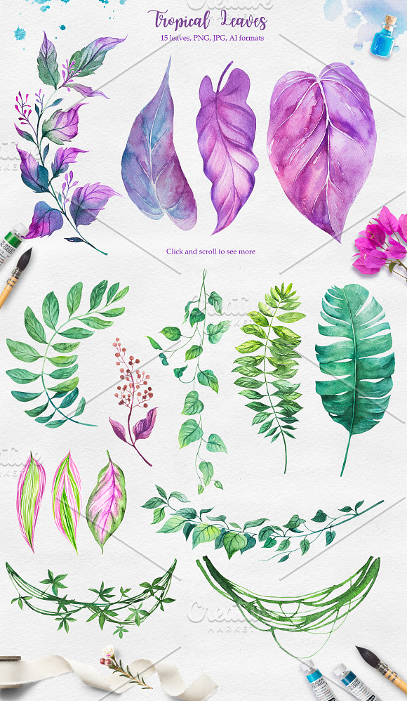 Tropical. Watercolor illustrations. in Illustrations - product preview 4