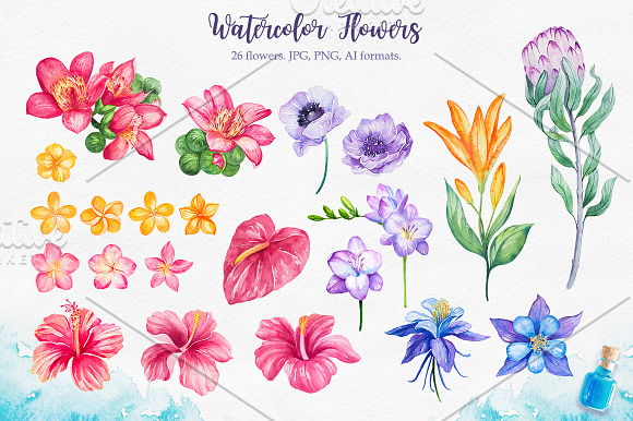 Tropical. Watercolor illustrations. in Illustrations - product preview 5