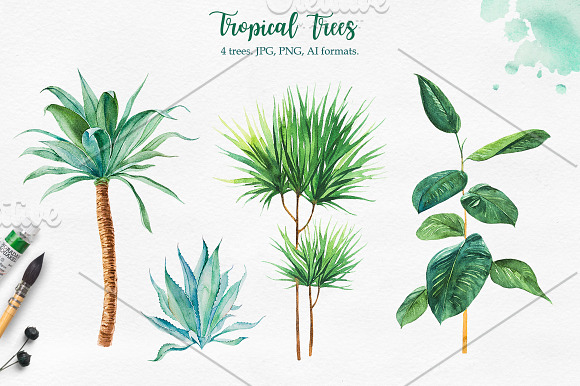 Tropical. Watercolor illustrations. in Illustrations - product preview 7