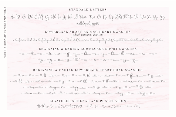 Sophia Ronald // Lovely Script Font in Script Fonts - product preview 17