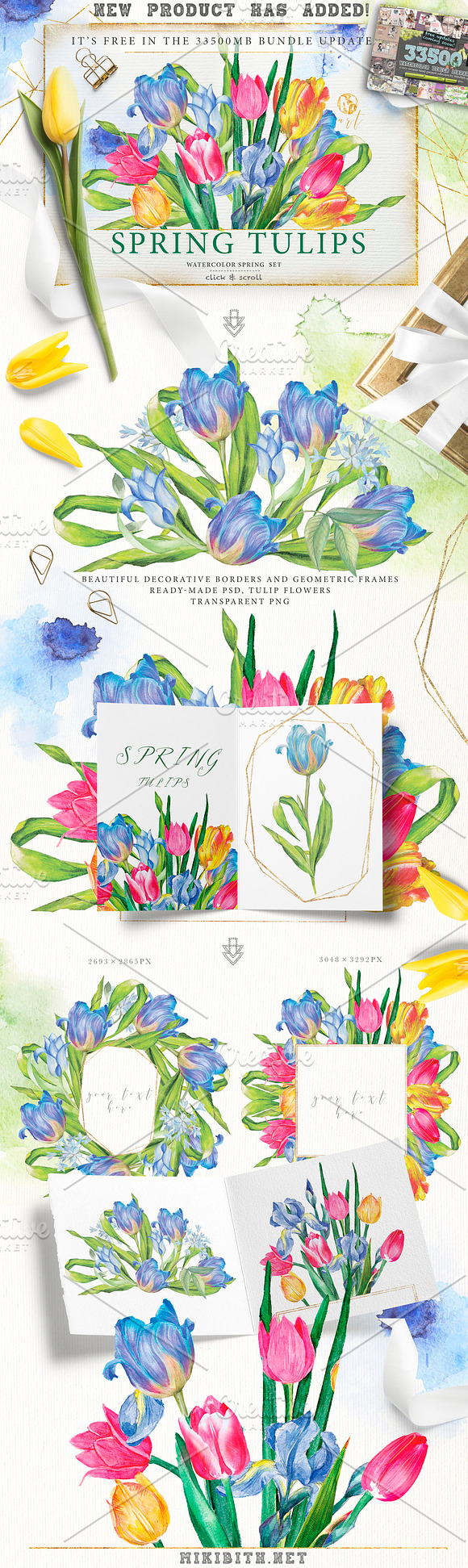 SPRING TULIPS in Illustrations - product preview 4