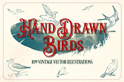 Vintage Hand Drawn Birds