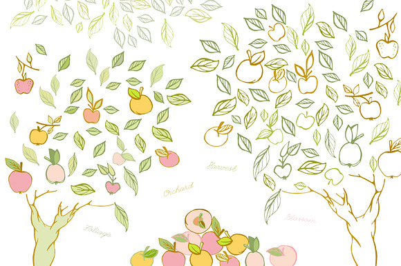 Apple Orchard vector collection in Illustrations - product preview 3