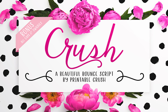 Crush Script Font in Script Fonts - product preview 4