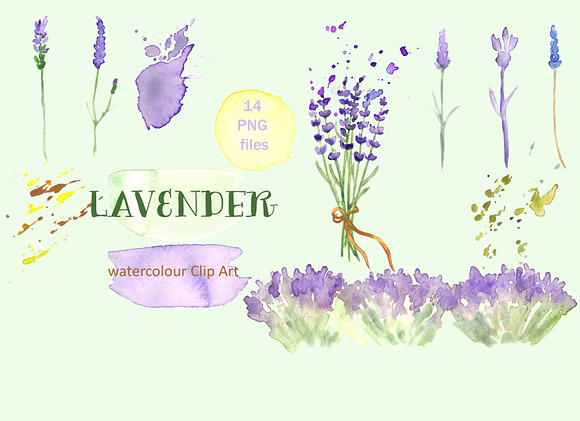 Lavender watercolor clip art in Illustrations - product preview 1