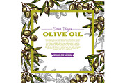 Olive oil label with green fruit and leaf frame