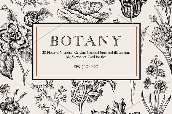 Botany. Victorian garden. B&W in Illustrations - product preview 1