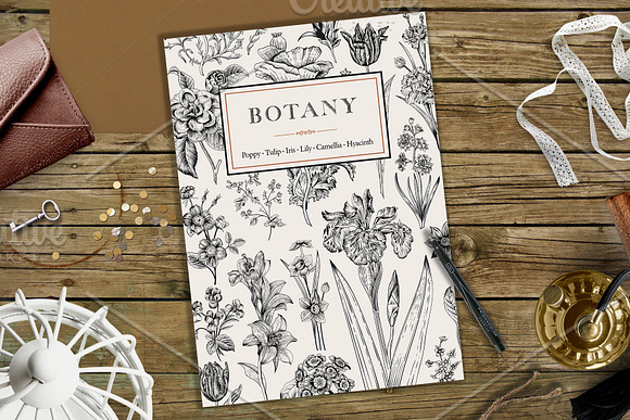 Botany. Victorian garden. B&W in Illustrations - product preview 3