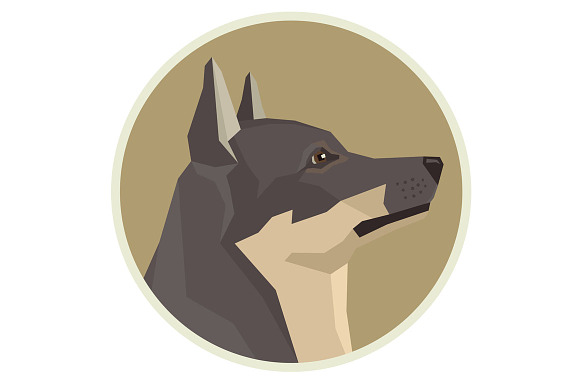 Dog breeds Swedish Vallhund in Objects - product preview 2