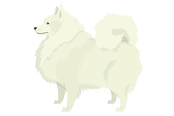 Dog breeds Spitz in Objects - product preview 1