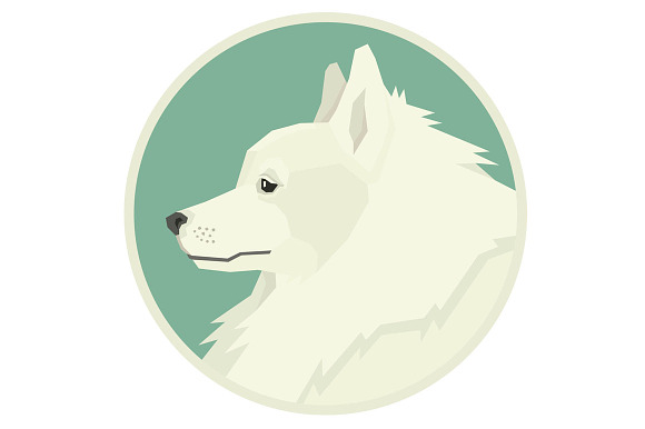 Dog breeds Spitz in Objects - product preview 2