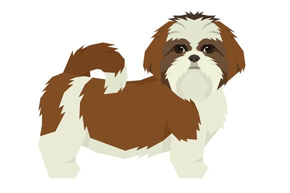 Dog breeds Shih Tzu in Objects - product preview 1