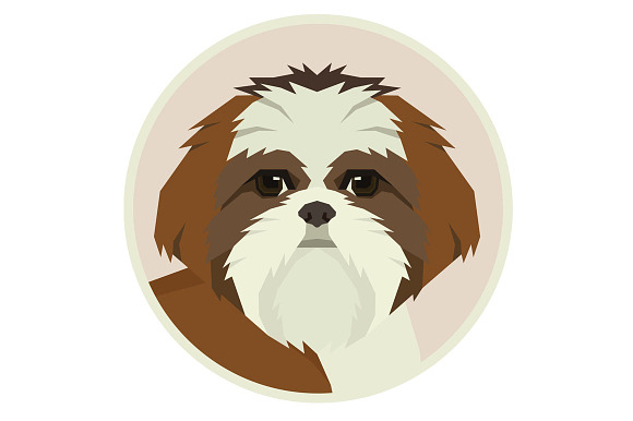 Dog breeds Shih Tzu in Objects - product preview 2