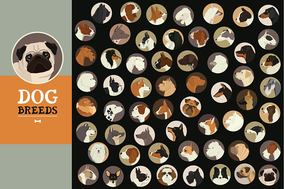 Dog breeds in Graphics - product preview 4