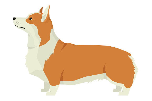 Dog breeds Pembroke Welsh Corgi in Objects - product preview 1
