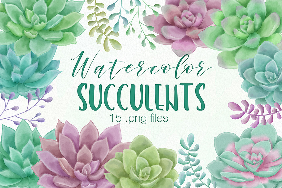 Watercolor Succulent Illustrations in Illustrations - product preview 8