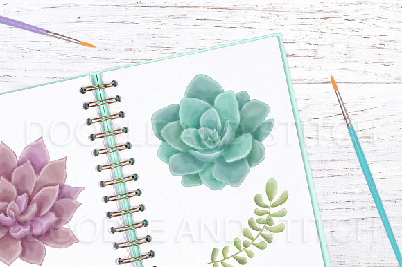 Watercolor Succulent Illustrations in Illustrations - product preview 1