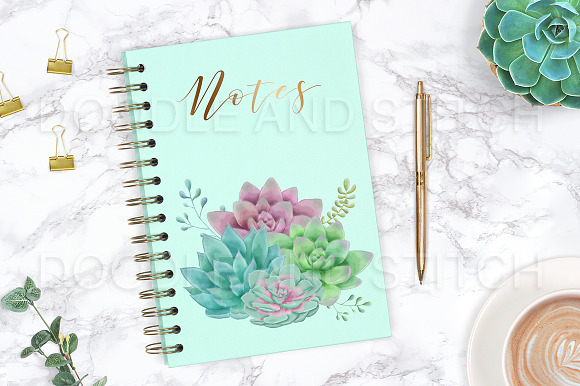 Watercolor Succulent Illustrations in Illustrations - product preview 2
