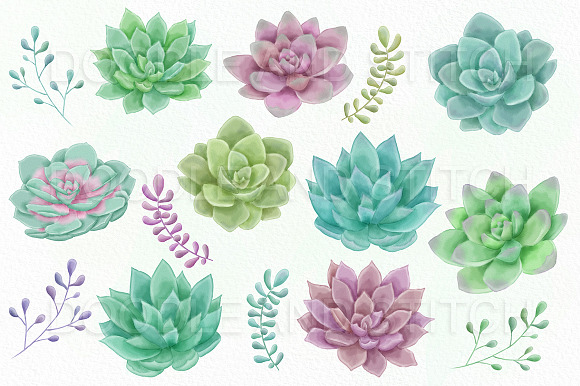 Watercolor Succulent Illustrations in Illustrations - product preview 4