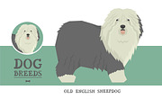 Dog breeds Old English Sheepdog