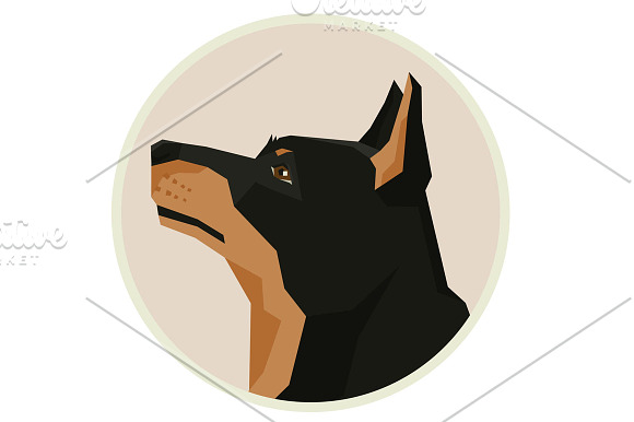 Dog breeds Lancashire Heeler in Objects - product preview 2