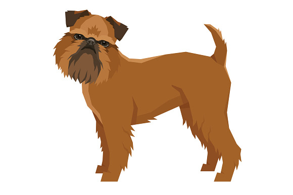 Dog breeds Griffon Bruxellois in Objects - product preview 1
