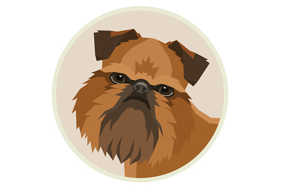 Dog breeds Griffon Bruxellois in Objects - product preview 2