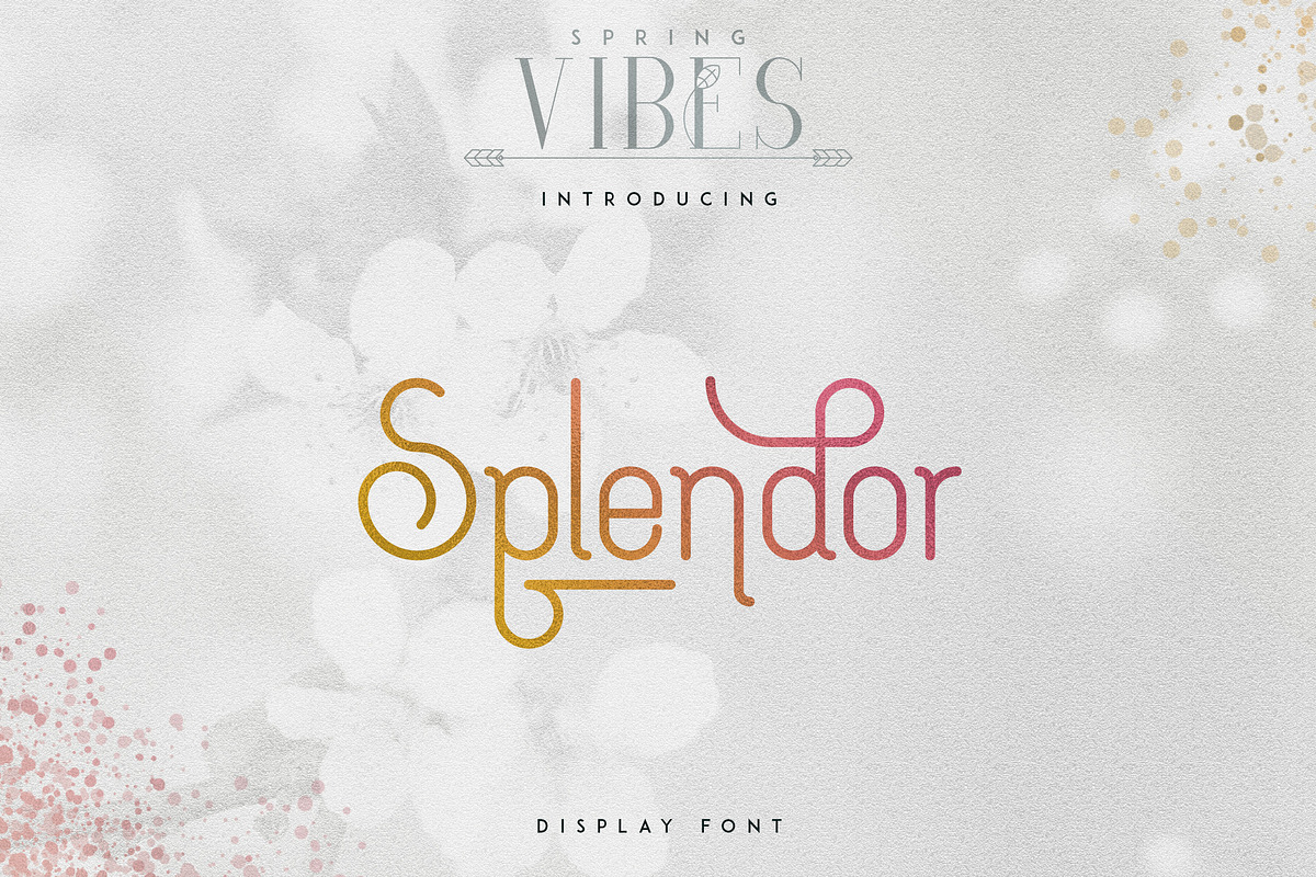 [Spring Vibes] Splendor Font -30% in Display Fonts - product preview 8