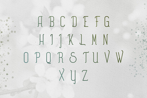 [Spring Vibes] Splendor Font -30% in Display Fonts - product preview 6