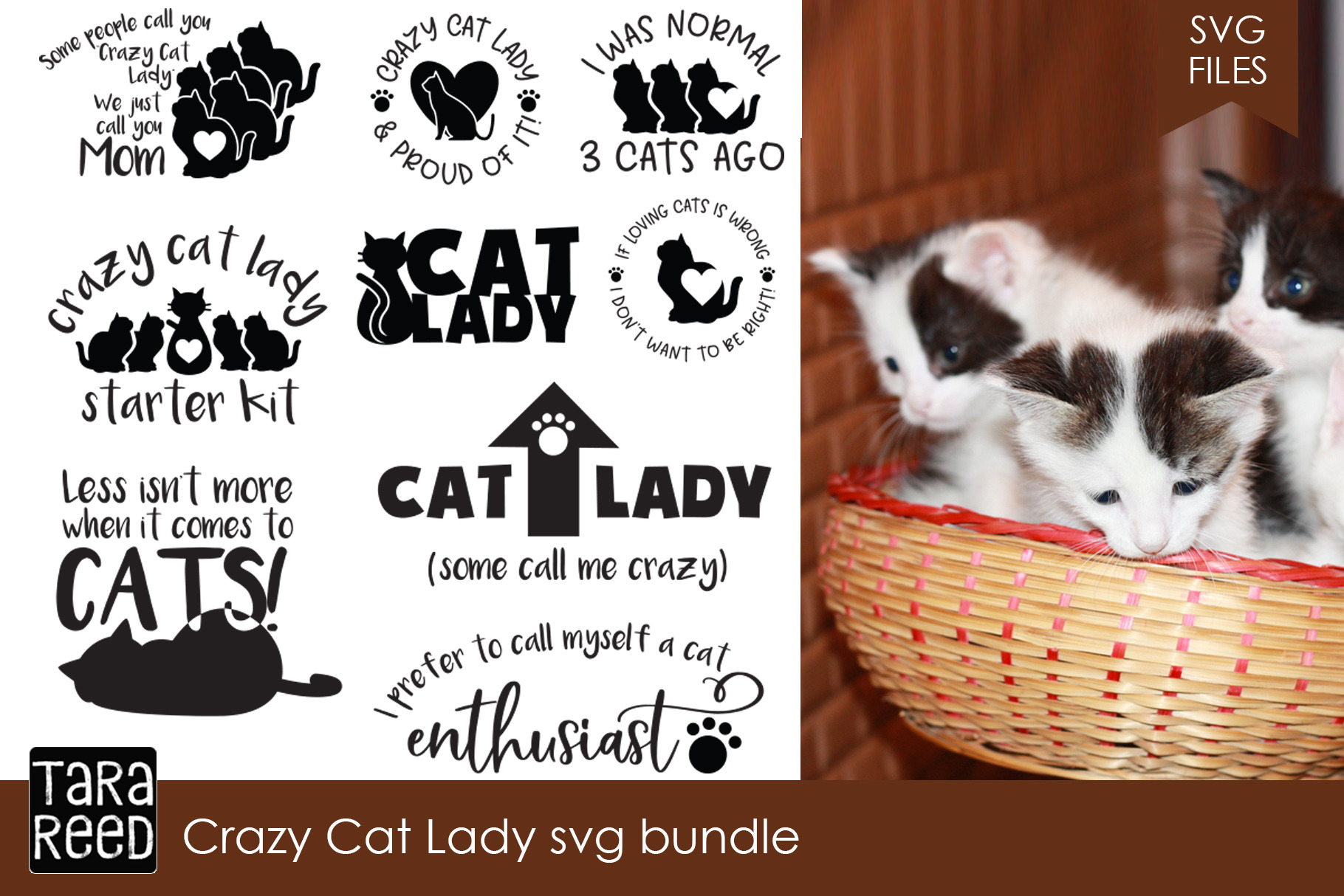 Crazy Cat Lady SVG Bundle | Custom-Designed Illustrations ~ Creative Market