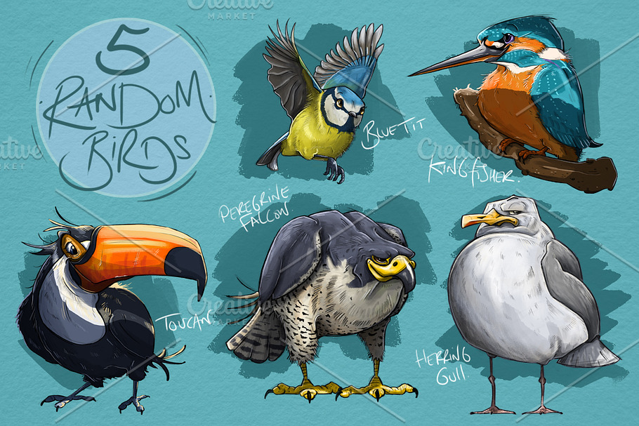 5 Random Bird Cartoons in Illustrations - product preview 8