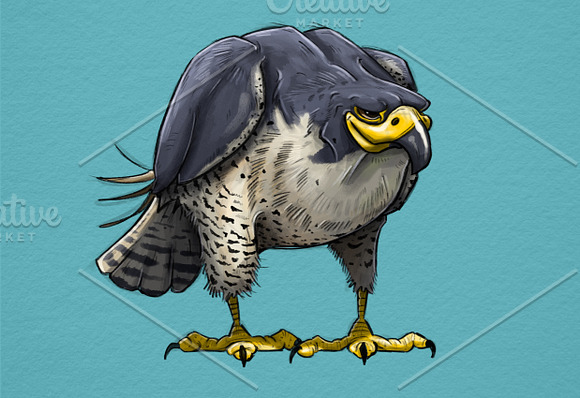 5 Random Bird Cartoons in Illustrations - product preview 1