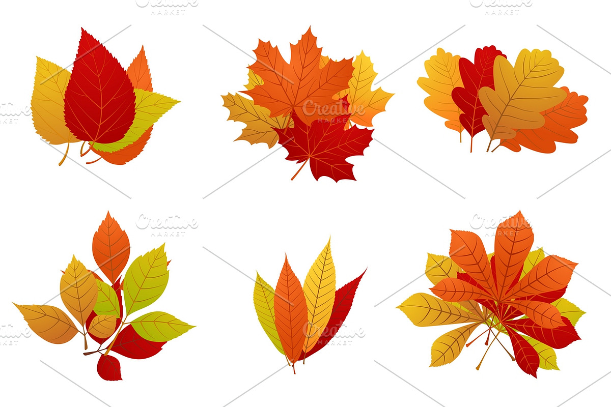 Autumn leaves yellow foliage set in Graphics - product preview 8