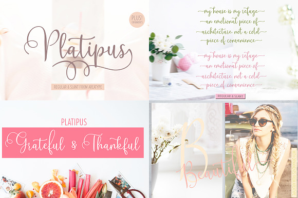 Handwritten Fonts Collection in Hand-lettered Fonts - product preview 42